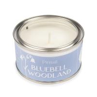 Pintail Candles Bluebell Woodland Paint Pot Candle Extra Image 2 Preview